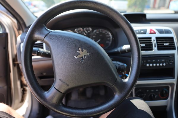 Peugeot 307 1.6 (ECF-762) - Image 36