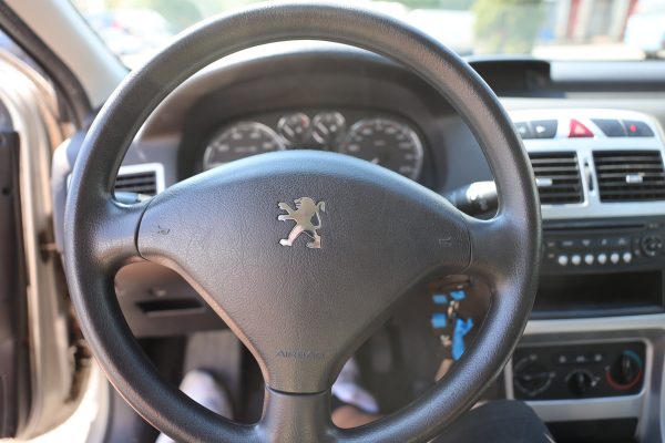 Peugeot 307 1.6 (ECF-762) - Image 34