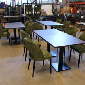 Fameg tuoli / 12 kpl, Bison pöytä / 6 kpl (G131)